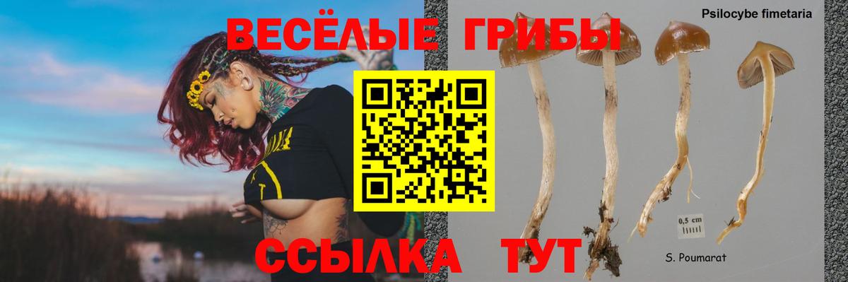 Псилоцибиновые грибы MAGIC MUSHROOMS  Вход с VPN  Псилоцибиновые грибы Psilocybe  Орёл 